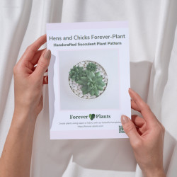 Hens and Chicks Forever-Plant Pattern