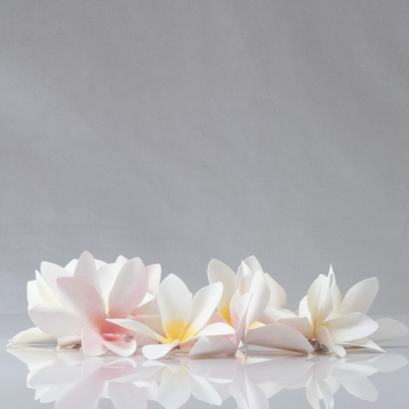 Plumeria Forever-Plant Pattern