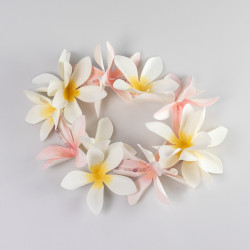 Plumeria Forever-Plant Pattern