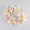 Plumeria Forever-Plant Pattern